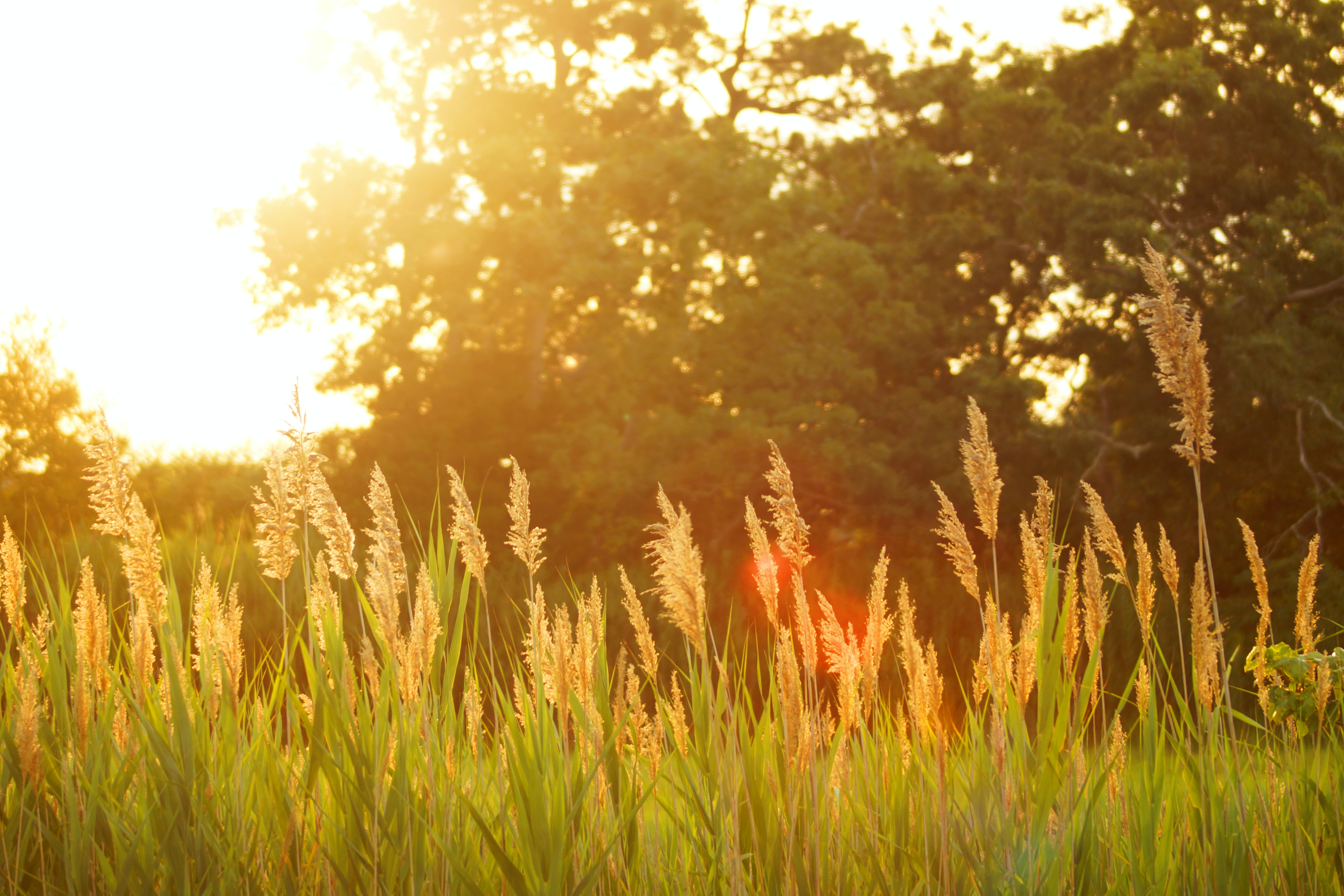 Summer Heat Energy Assistance Available Locally