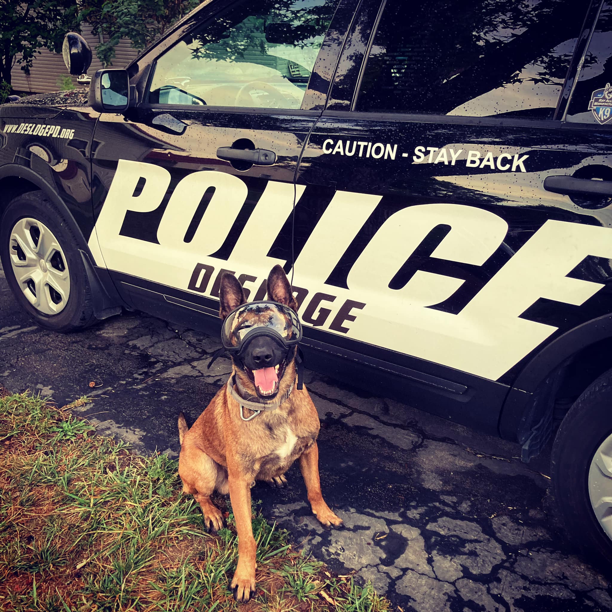 New K-9 Paying Off in Desloge