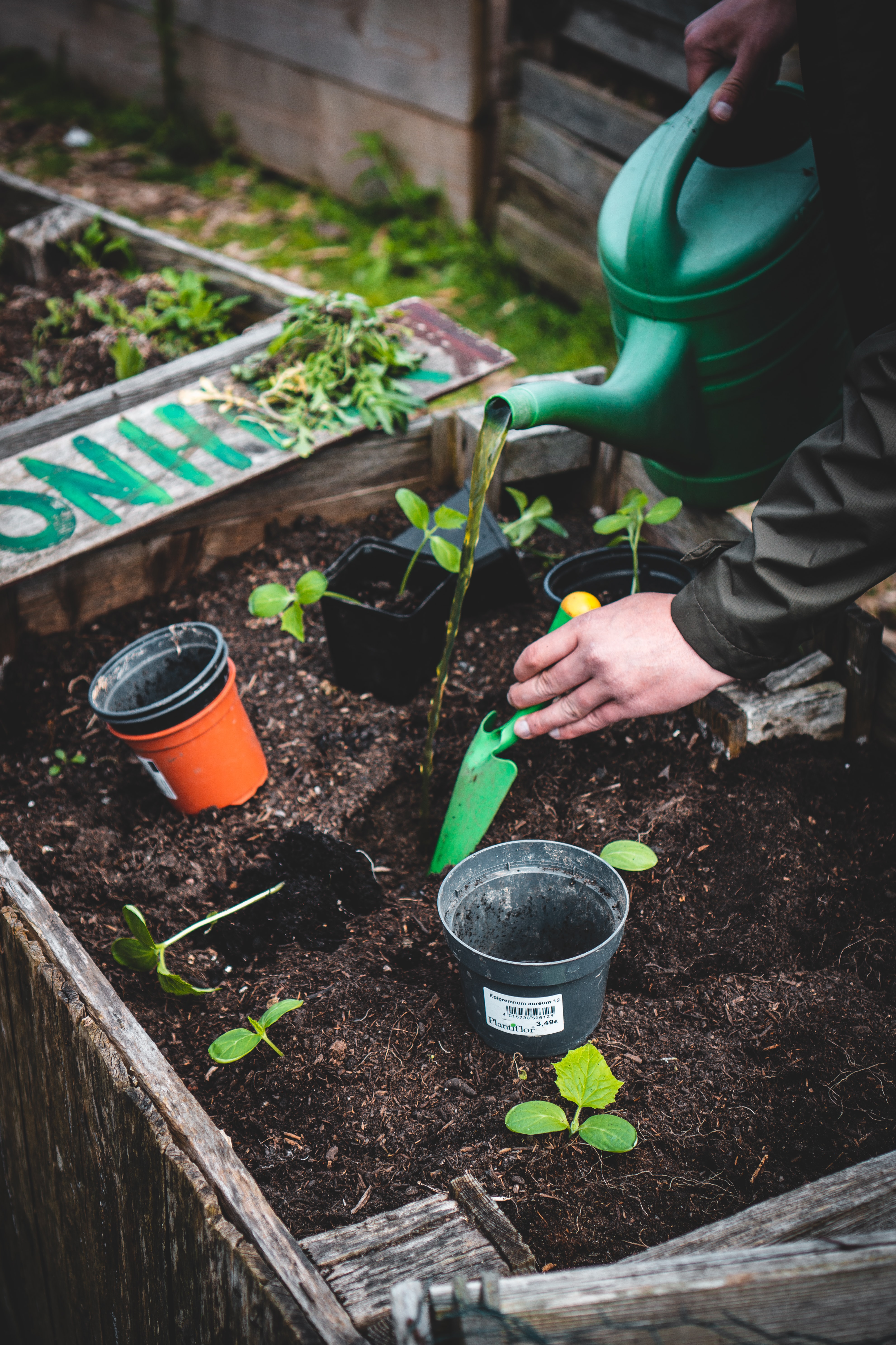 Fall Vegetable Gardening Webinar Series