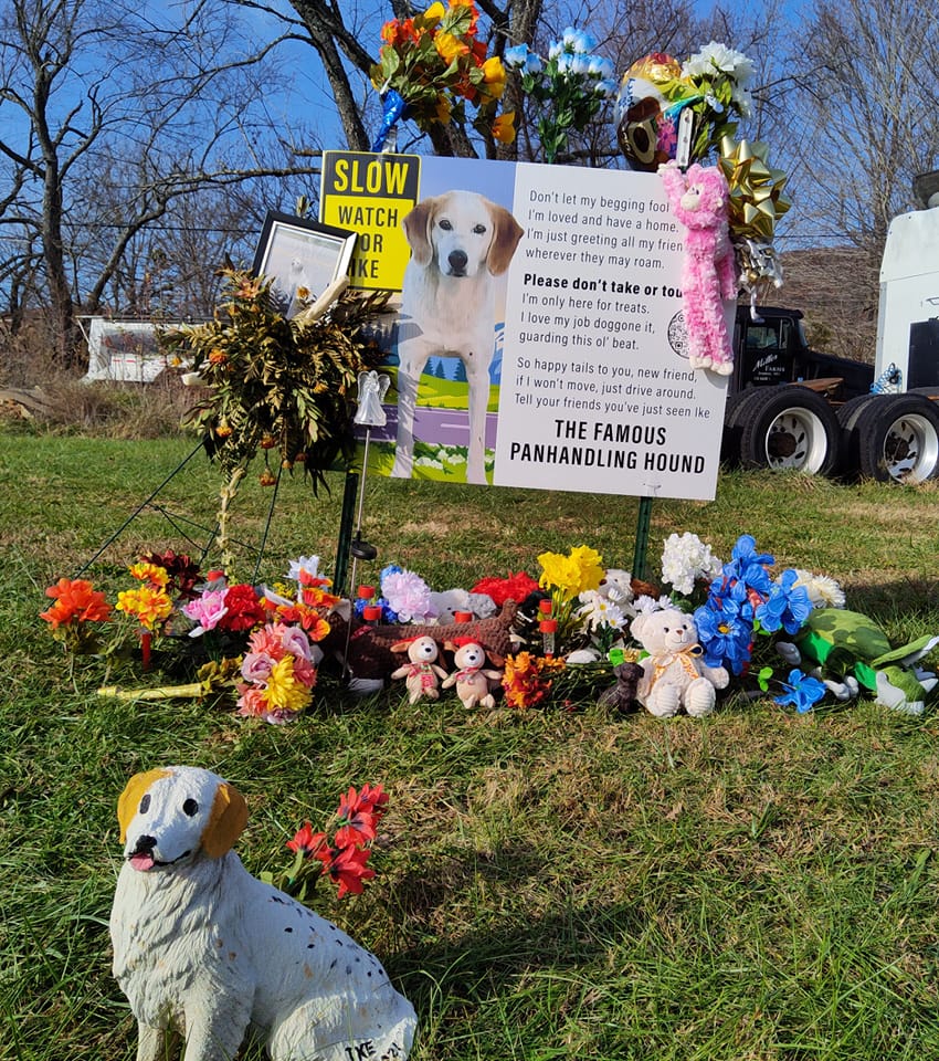 A Memorial for Ike The Crossroads Dog