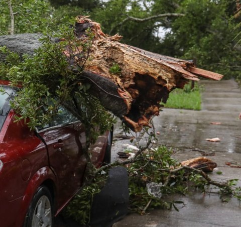 7 Tornadoes in Parkland Region