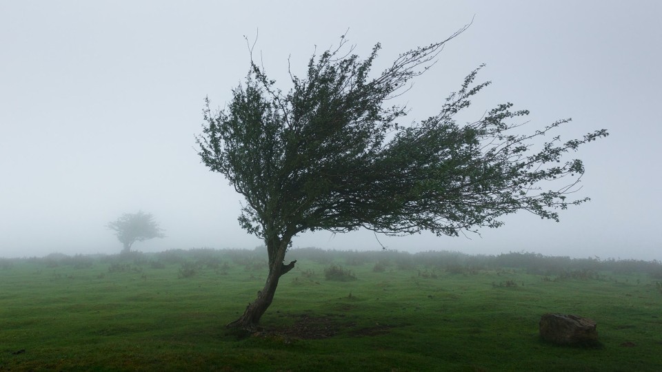 Red Flag Warning Issued for Parkland; Strong Winds Expected Wednesday