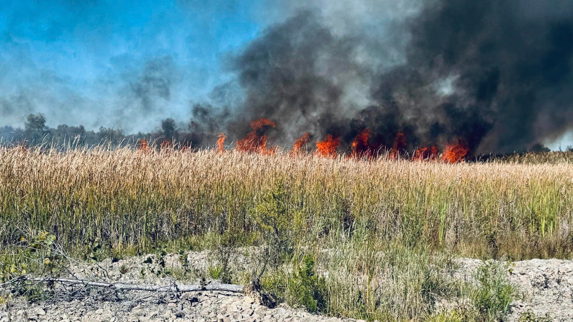 Leadwood Firefighters Contain Spreading Grass Fire with Help from Multiple Agencies