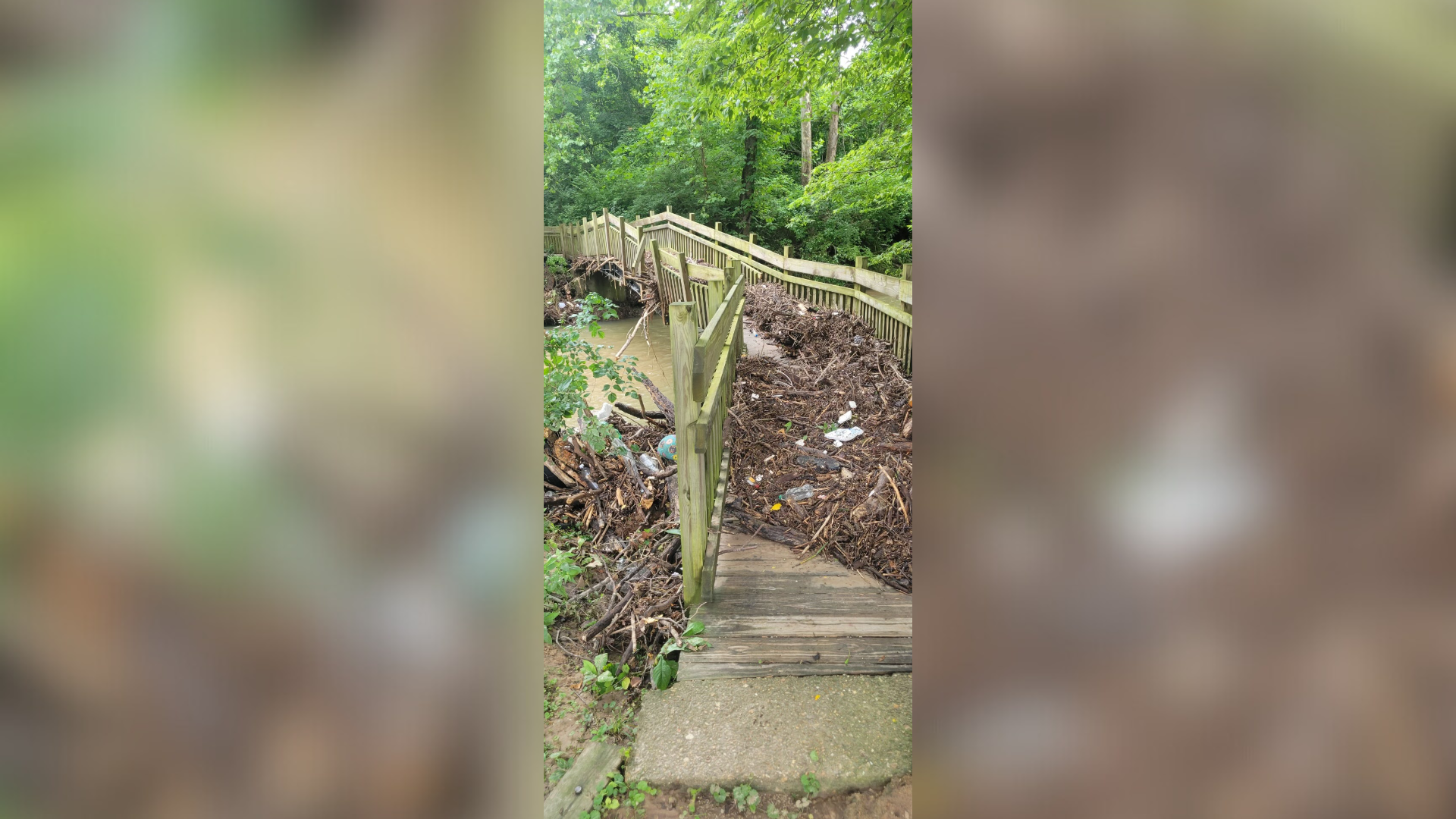 Picnic Area Closed at Mastodon State Historic Site