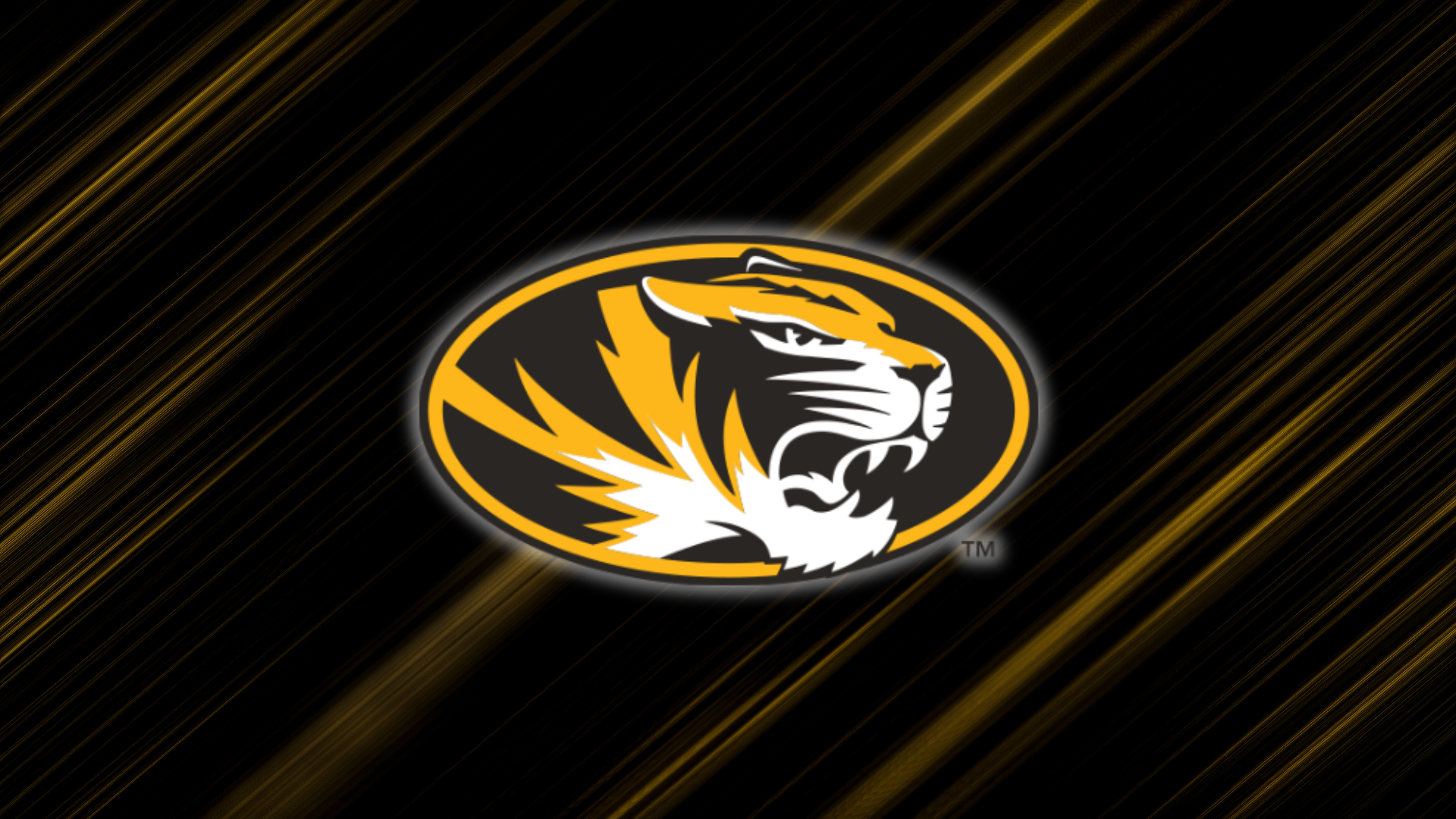 Missouri Tigers Drop Top-25 Matchup with South Carolina